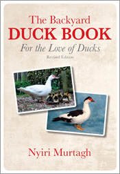 The cover image of The Backyard Duck Book, featuring two images of ducks, one on its own the other with ducklings clustered around.