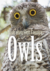 Cover image featuring a grey owl with large round yellow and black eyes.
