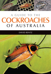 A Guide to the Cockroaches of Australia