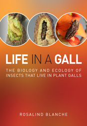 The cover image of Life in a Gall, featuring three images of insects again