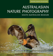 The cover image of Australasian Nature Photography, features a bat splashi