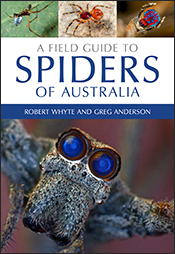 Cover featuring a close up photograph of the bright blue eyes of a peacock spider.