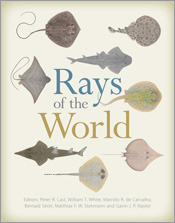 cover of Rays of the World