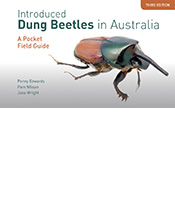 Cover image of Introduced Dung Beetles in Australia, featuring a side-view photo of Onthophagus nigriventris