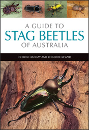 Cover of 'A Guide to Stag Beetles of Australia' featuring a photo of a beautiful metallic stag beetle on a log, with four small photos of other stag b