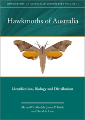 Hawkmoths of Australia