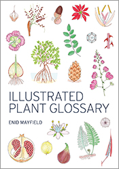 Illustrated Plant Glossary