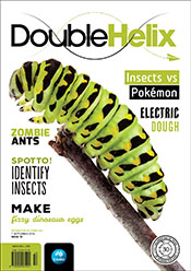 Cover with green grub on branch
