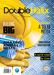 cover of Double Helix Issue 13