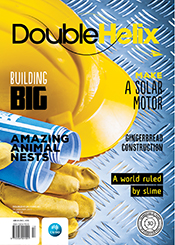 Double Helix Issue 13