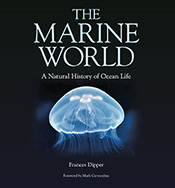 cover of The Marine World