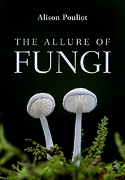 Cover of 'The Allure of Fungi' showing two pale grey mushrooms against a b