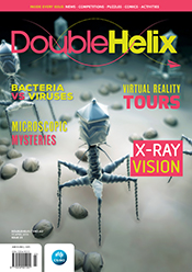 Cover with grey 3D rendering of a bacteriophage