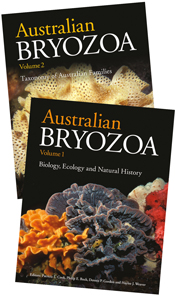 Australian Bryozoa Set