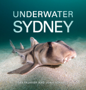 Cover of Underwater Sydney, featuring a Port Jackson shark resting on the