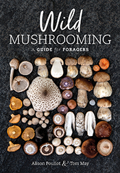 Cover of 'Wild Mushrooming' featuring a photograph of a broad range of different mushrooms laid out in a square upon a textured black background.