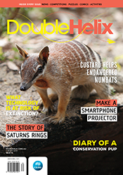 Magazine cover with numbat on rock