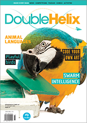 Cover of Double Helix magazine Issue 37 showing a blue-and-yellow macaw manipulating a green tile into a square hole using its beak.