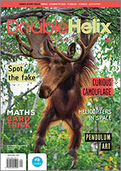Cover of Double Helix magazine Issue 49, featuring a photo of a juvenile o