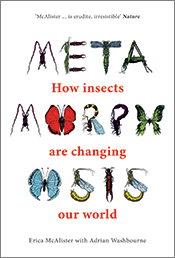 Cover of 'Metamorphosis', with a variety of insects used to shape the letters in the word 'METAMORPHOSIS'.