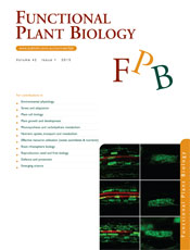 Functional Plant Biology