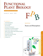 Functional Plant Biology