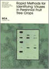 Cover image of Rapid Methods for Identifying Viruses in Perennial Fruit Tr