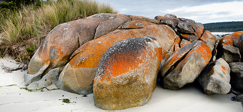 Rocks at a beach