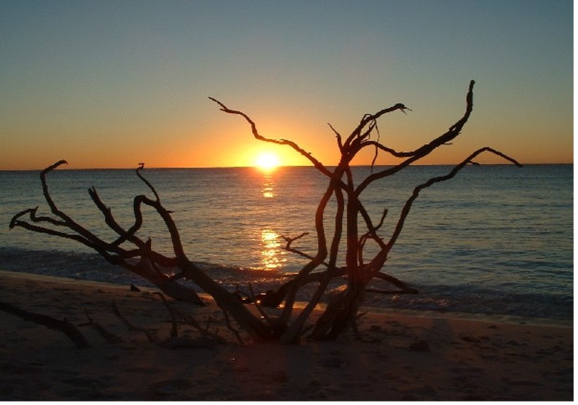 Heron Island 