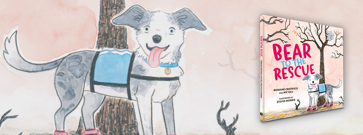 Follow Bear as he finds his purpose as a koala detection dog