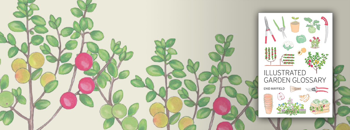Provides illustrated explanations of more than 1000 gardening and horticulture terms
