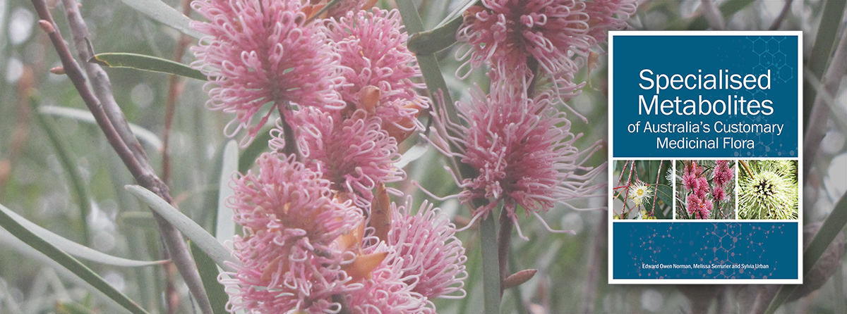 Outlines a phytochemical breakdown of Australian customary medicinal flora