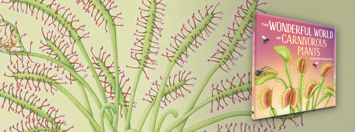 Sticky leaves, slippery stems and tricky traps... Enter the world of carnivorous plants