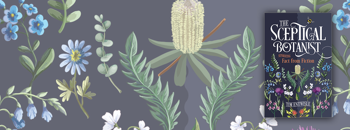 Beautifully crafted essays that explore everyday questions about plants and gardens