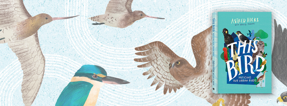 Discover the remarkable Australian native birds in your backyard and local parks