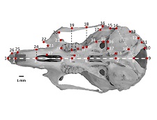 Graphical Abstract Image