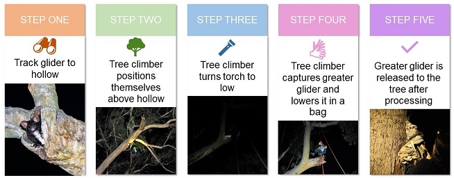 Graphical Abstract Image