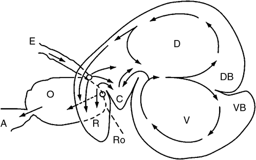 F4