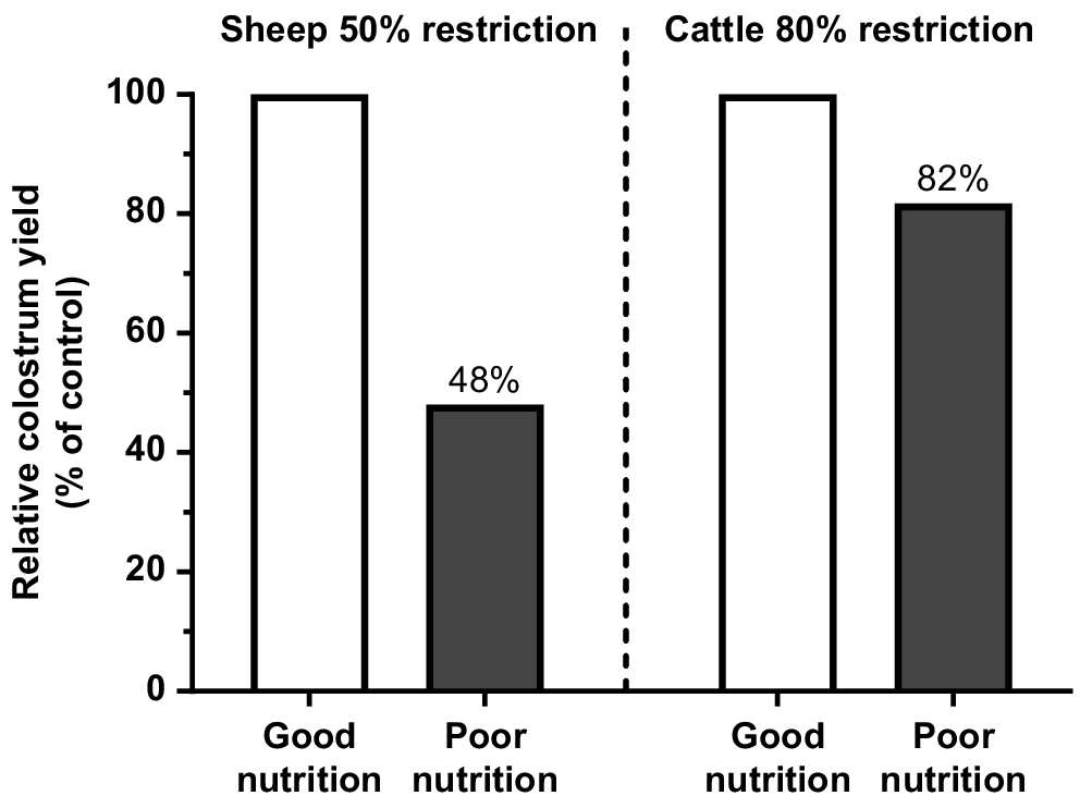 Effects of colostrum management on transfer of passive immunity