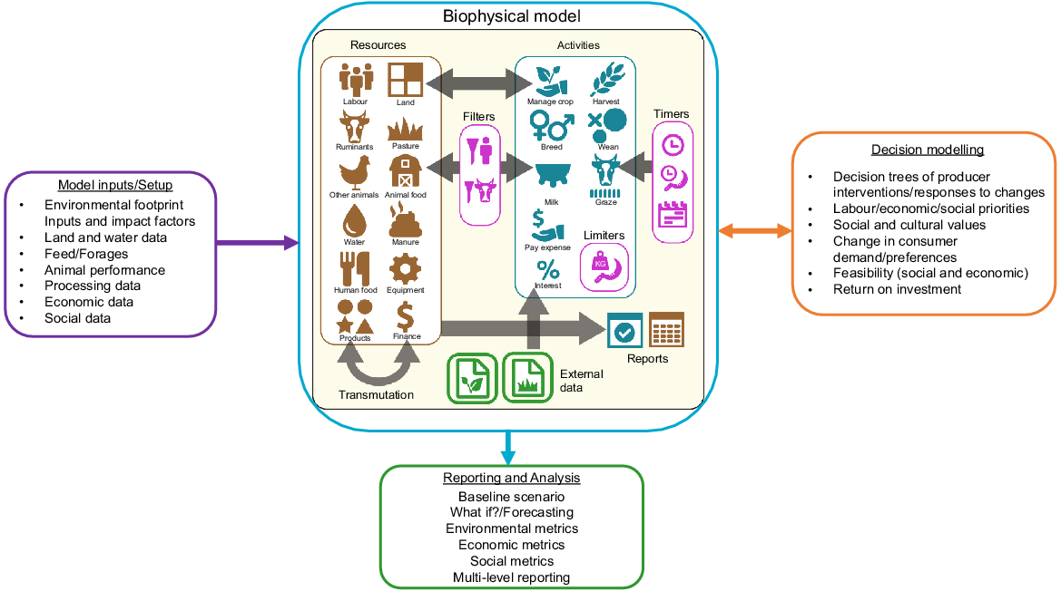 A proposed modelling structure linking a biophysical model with inputs/setup, analysis/reports, and decision modelling.