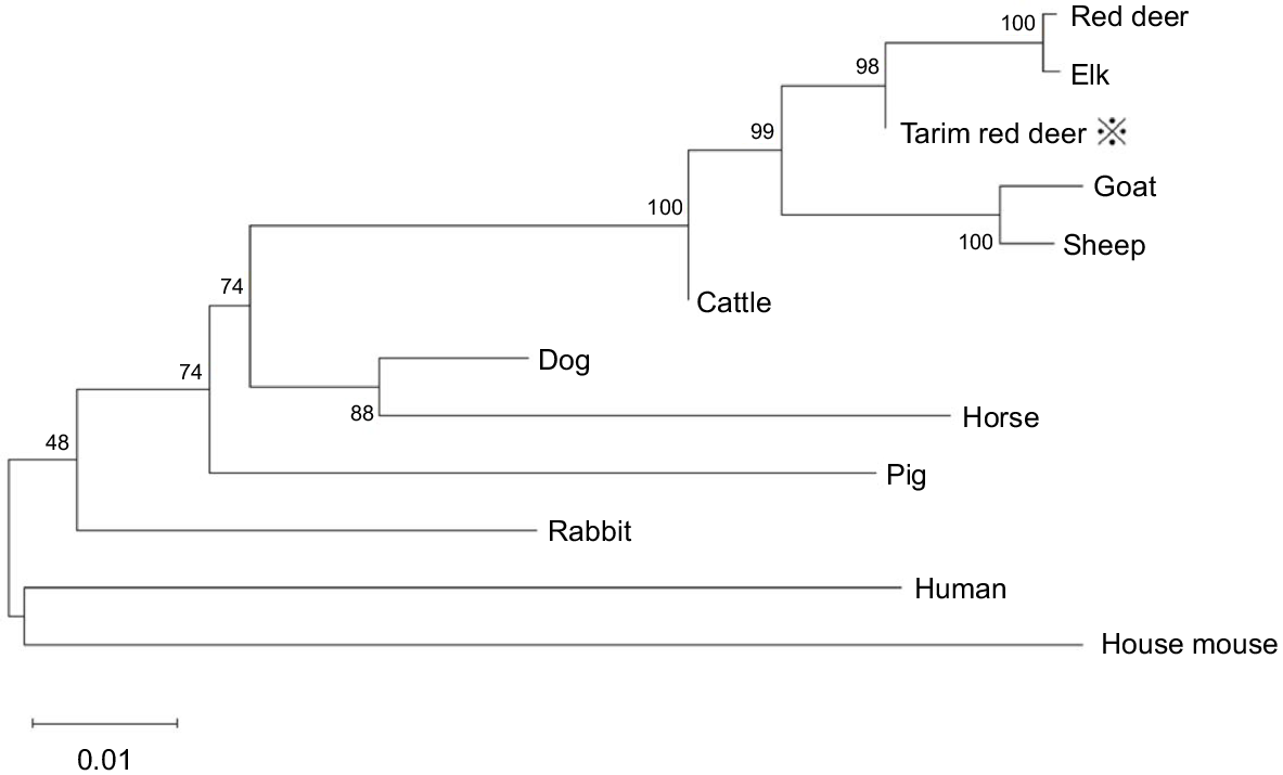 CSIRO PUBLISHING | Animal Production Science