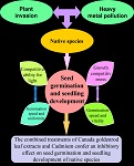 Graphical Abstract Image