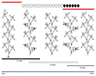 Graphical Abstract Image