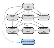 Graphical Abstract Image