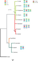 Graphical Abstract Image