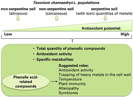 Graphical Abstract Image