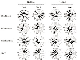 Graphical Abstract Image