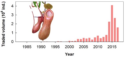 Graphical Abstract Image