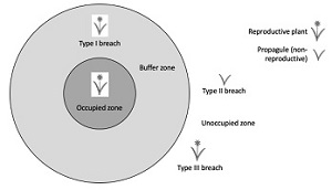 Graphical Abstract Image