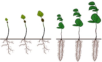 Graphical Abstract Image